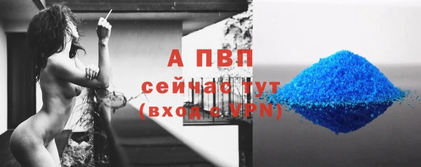 прущий лед Гусев
