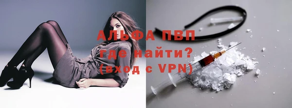 прущий лед Гусев