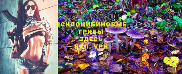 прущий лед Гусев